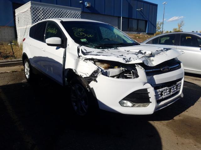 FORD ESCAPE SE 2014 1fmcu9gx3eud37850