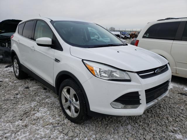 FORD NULL 2013 1fmcu9gx4dub09211