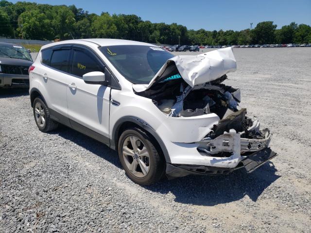 FORD ESCAPE SE 2014 1fmcu9gx4euc61314