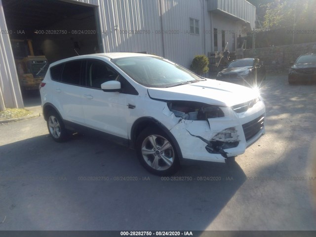 FORD ESCAPE 2014 1fmcu9gx4eue28562