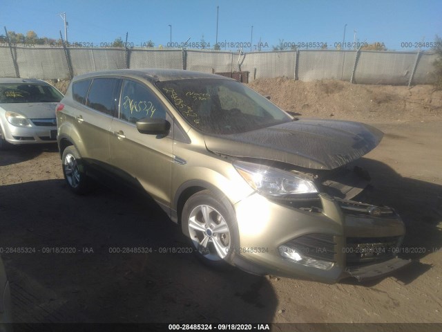 FORD ESCAPE 2014 1fmcu9gx5eub31154