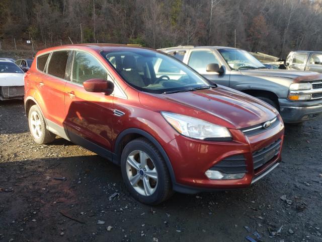 FORD ESCAPE SE 2014 1fmcu9gx6eub04285