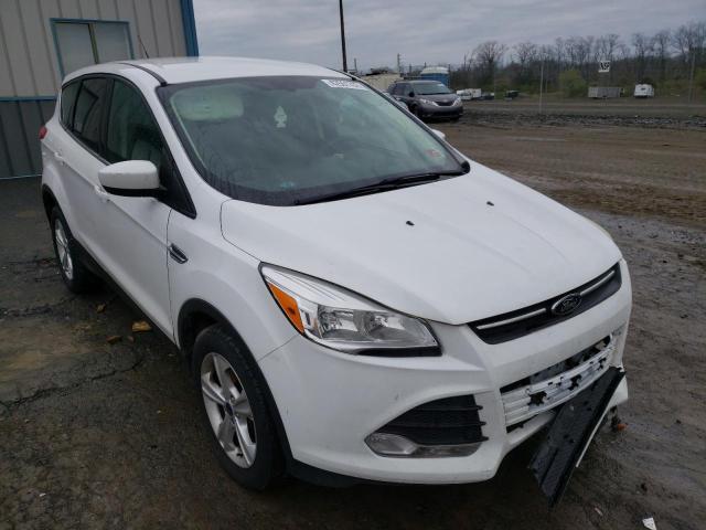 FORD ESCAPE SE 2014 1fmcu9gx6euc02880