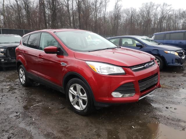 FORD ESCAPE SE 2014 1fmcu9gx6eud29757