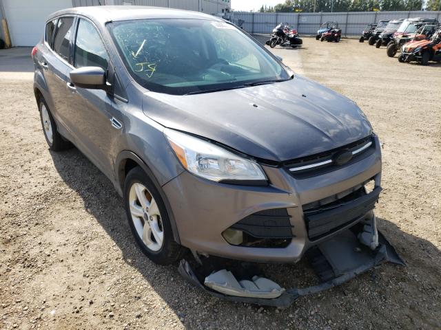 FORD ESCAPE SE 2013 1fmcu9gx7dua55354