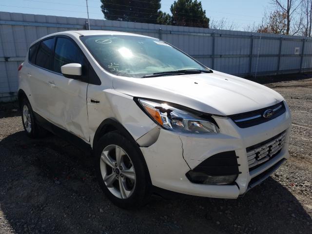 FORD ESCAPE SE 2014 1fmcu9gx7eub73955