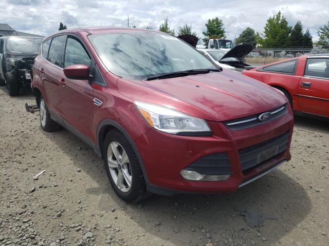 FORD ESCAPE SE 2014 1fmcu9gx7eub80923