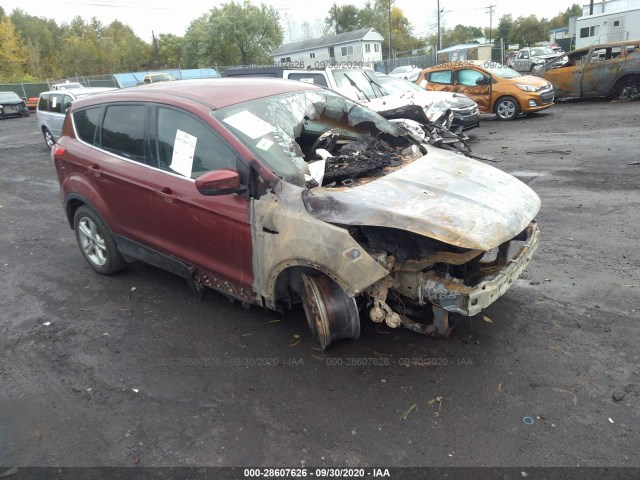 FORD ESCAPE 2014 1fmcu9gx7euc48881