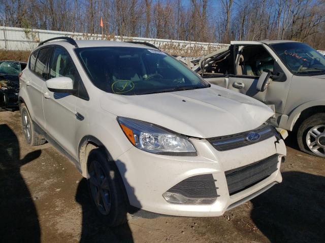 FORD ESCAPE SE 2014 1fmcu9gx7eud97145