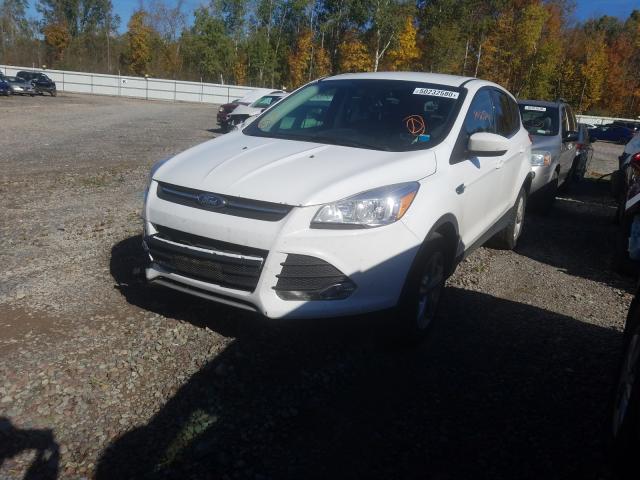 FORD ESCAPE SE 2014 1fmcu9gx7eue01131