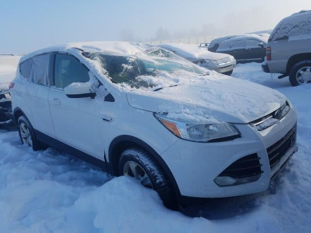 FORD ESCAPE SE 2014 1fmcu9gx7eue28278