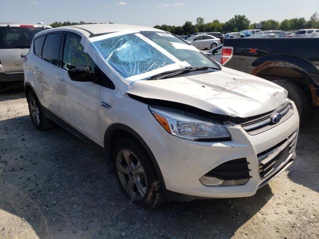 FORD ESCAPE SE 2014 1fmcu9gx7eue36512