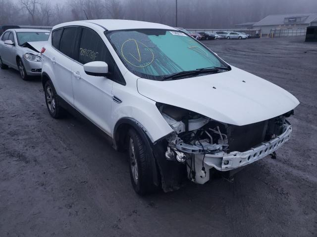 FORD ESCAPE SE 2013 1fmcu9gx8dua42385