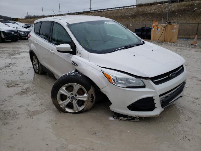 FORD ESCAPE SE 2013 1fmcu9gx8dub52577