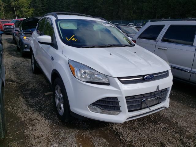 FORD ESCAPE SE 2013 1fmcu9gx8dub97907