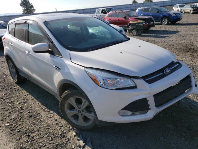 FORD ESCAPE SE 2013 1fmcu9gx8dud65948