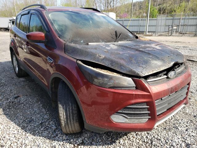 FORD ESCAPE SE 2014 1fmcu9gx8eua12210