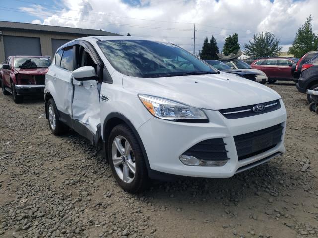 FORD ESCAPE SE 2014 1fmcu9gx8eub32704