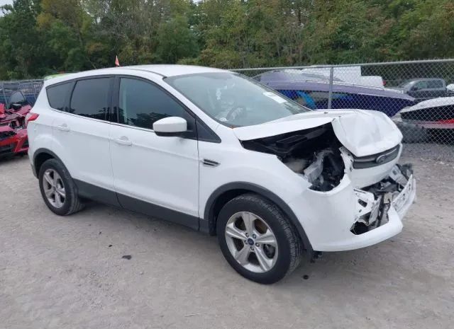 FORD ESCAPE 2014 1fmcu9gx8eub65881