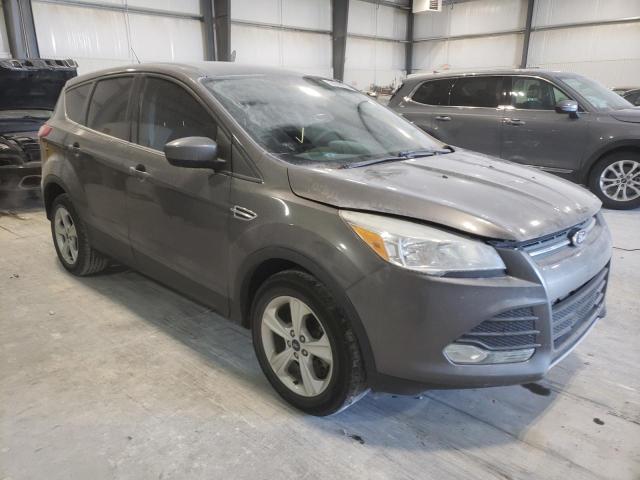 FORD ESCAPE SE 2014 1fmcu9gx8eub81238