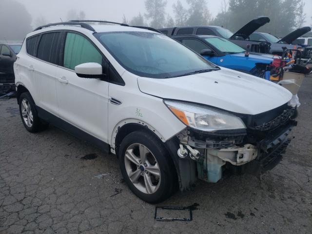 FORD ESCAPE SE 2013 1fmcu9gx9dub33357