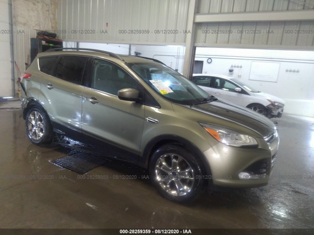 FORD ESCAPE 2014 1fmcu9gx9eua00065