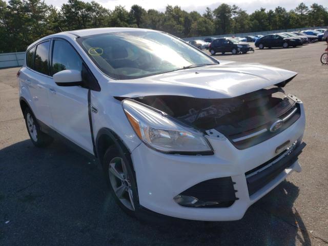 FORD ESCAPE SE 2014 1fmcu9gx9eua85280