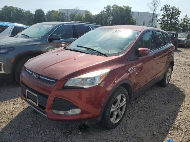 FORD ESCAPE SE 2014 1fmcu9gx9eub75349