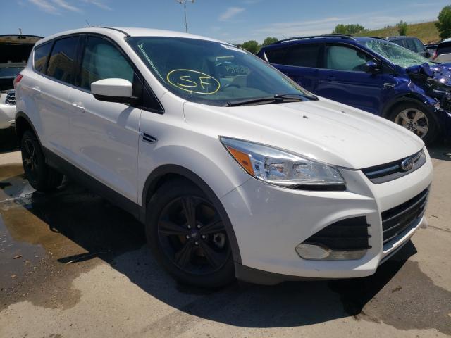 FORD ESCAPE SE 2014 1fmcu9gx9euc08012