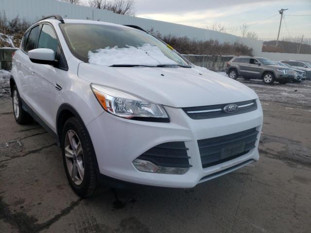 FORD ESCAPE SE 2014 1fmcu9gx9euc14652