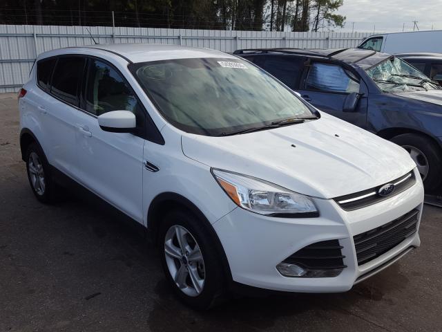 FORD ESCAPE SE 2013 1fmcu9gxxdua24633