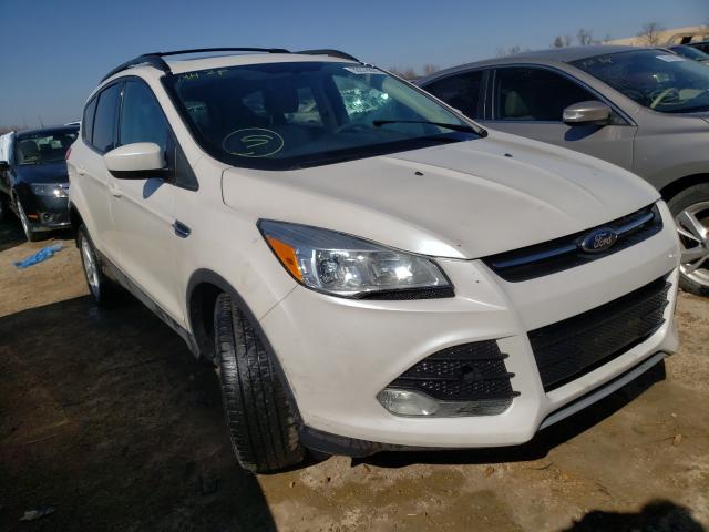 FORD ESCAPE SE 2013 1fmcu9gxxdud38105