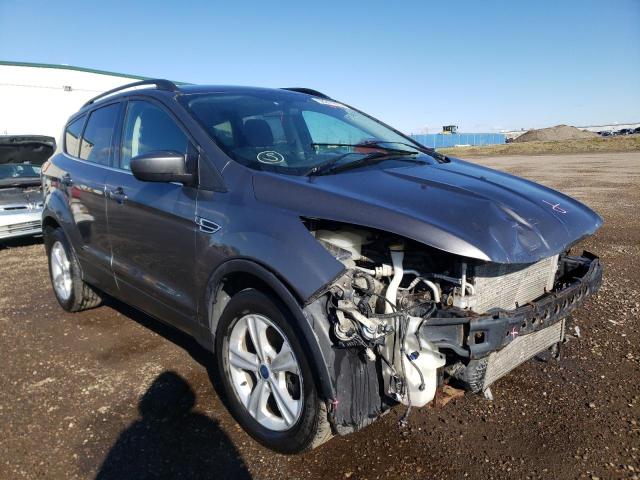 FORD ESCAPE SE 2014 1fmcu9gxxeua32507