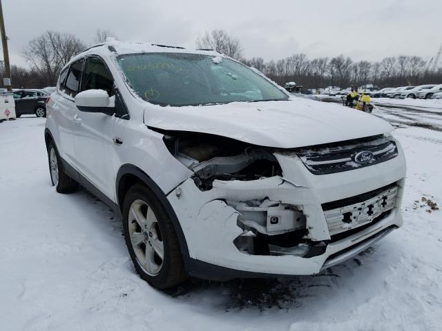 FORD ESCAPE SE 2014 1fmcu9gxxeua88656