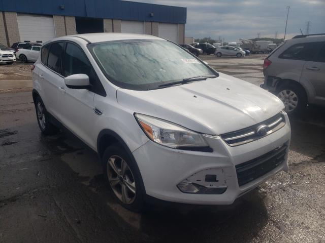 FORD ESCAPE SE 2014 1fmcu9gxxeub04225