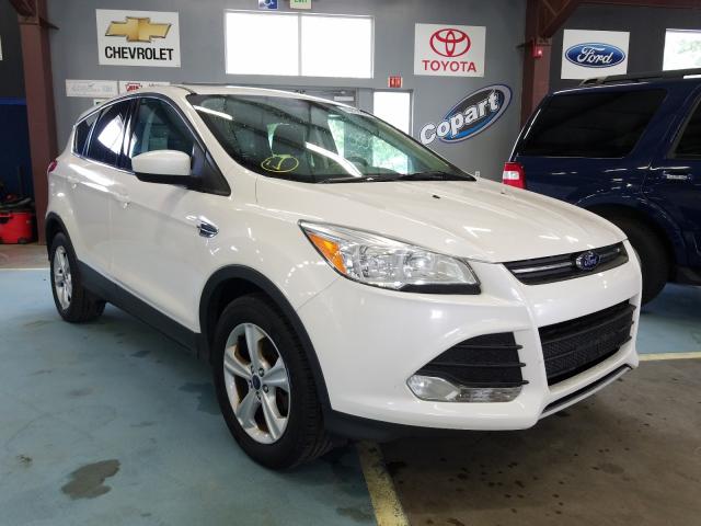 FORD ESCAPE SE 2014 1fmcu9gxxeub19548