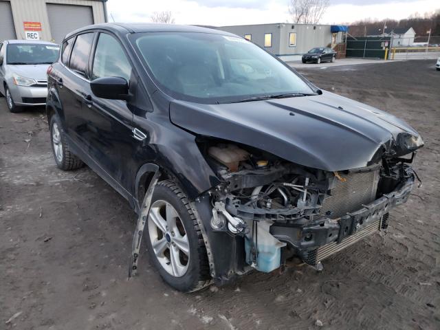 FORD ESCAPE SE 2014 1fmcu9gxxeub53473