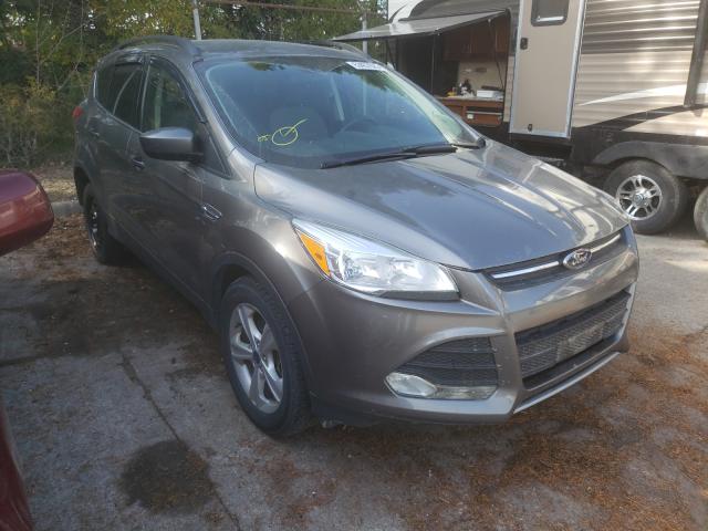 FORD ESCAPE SE 2014 1fmcu9gxxeub97022