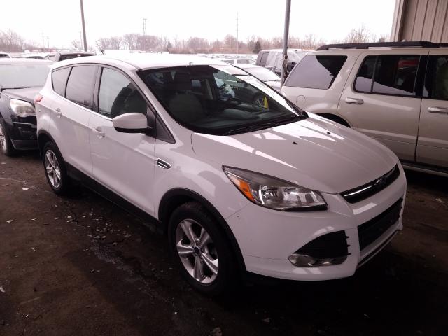 FORD ESCAPE SE 2014 1fmcu9gxxeud25548