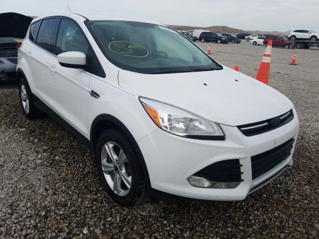 FORD ESCAPE SE 2014 1fmcu9gxxeud50417