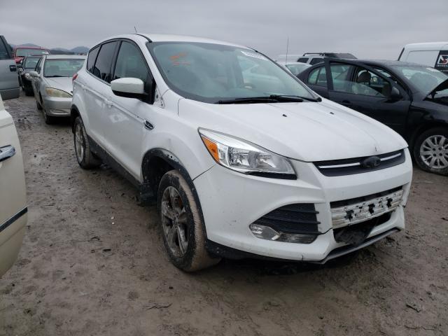 FORD ESCAPE SE 2014 1fmcu9gxxeud58842