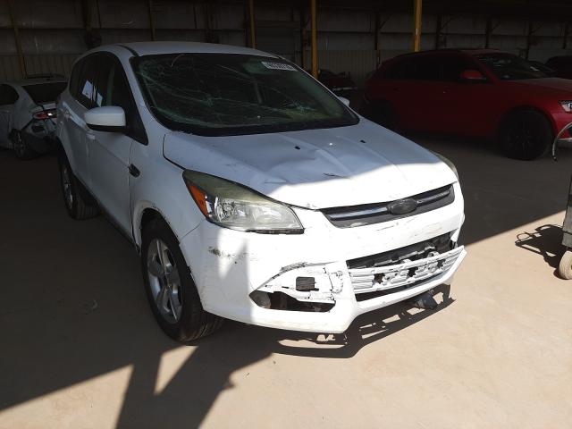 FORD ESCAPE SE 2014 1fmcu9gxxeud59070