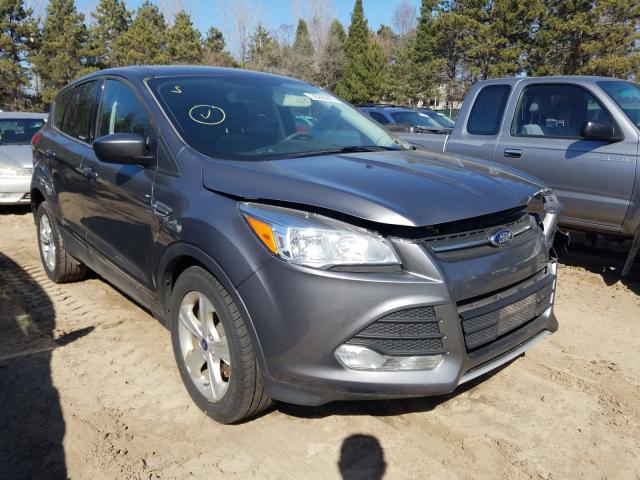 FORD ESCAPE SE 2014 1fmcu9gxxeue13287