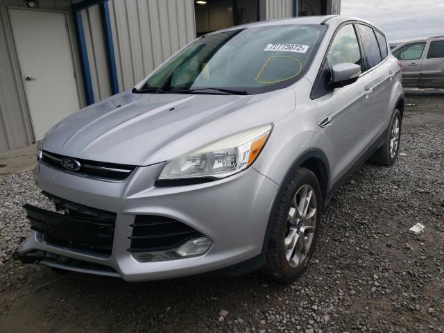 FORD ESCAPE SEL 2013 1fmcu9h90duc79839