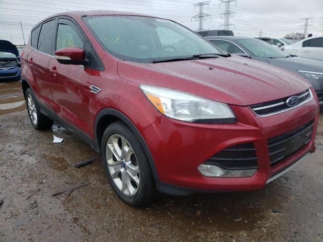 FORD ESCAPE SEL 2013 1fmcu9h90duc88170