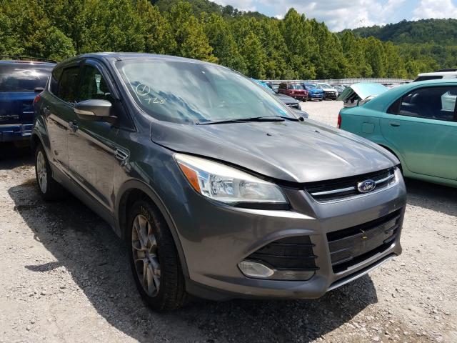 FORD ESCAPE SEL 2013 1fmcu9h92dua09897