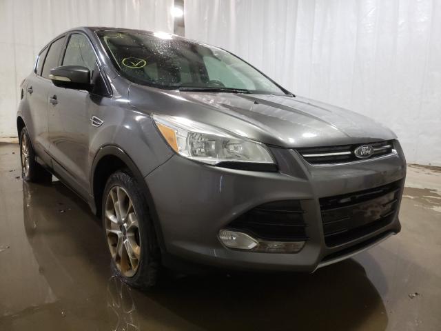 FORD ESCAPE SEL 2013 1fmcu9h92duc72021