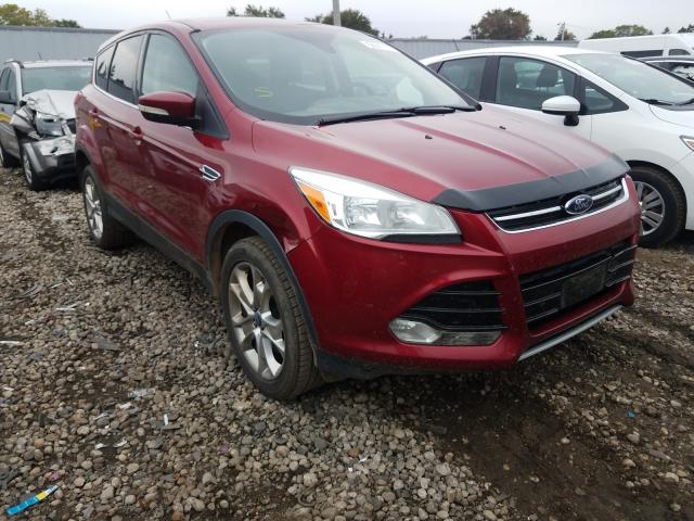 FORD ESCAPE SEL 2013 1fmcu9h92duc95654