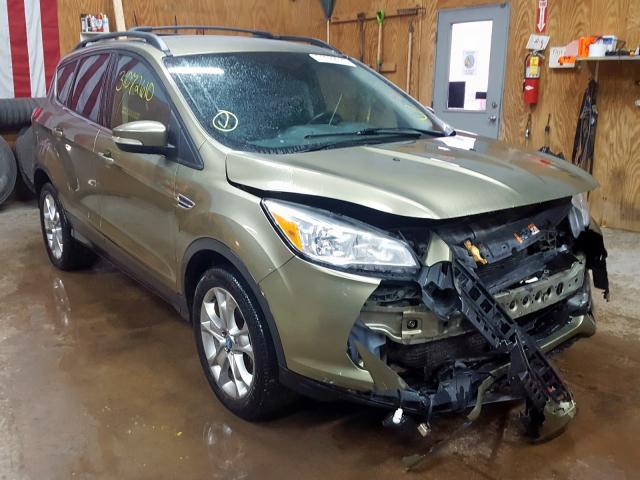 FORD ESCAPE SEL 2013 1fmcu9h93dua25719