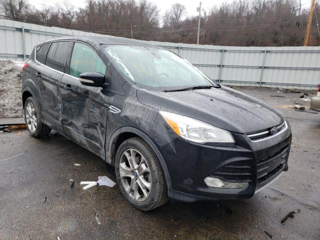 FORD ESCAPE SEL 2013 1fmcu9h93duc36693